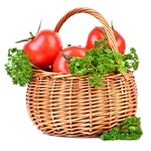 Farm Category 168x168 (1)