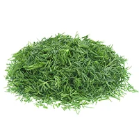 Frozen Dill Xvjcann